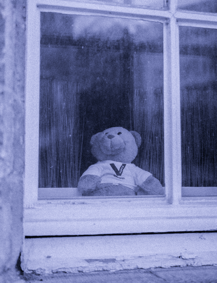lone bear sitting on window-sill
